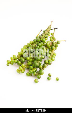 Fresh green pepper (Piper Nigrum) isolated on white background Stock Photo
