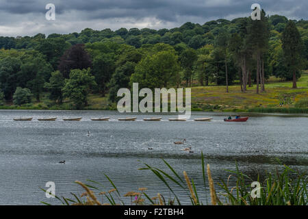 Trentham Gardens, Stoke on Trent, Staffordshire, England. Stock Photo