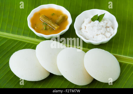 Fresh steamed Indian Idly (Idli / rice cake) arranged on a traditional banana leaf. Served with coconut chutney and sambar. Stock Photo