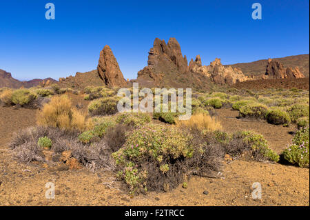 Volcanic chimneys at the foot of the Pico del teide Vulcano,, Tenerife, Canary Island, Spain Stock Photo