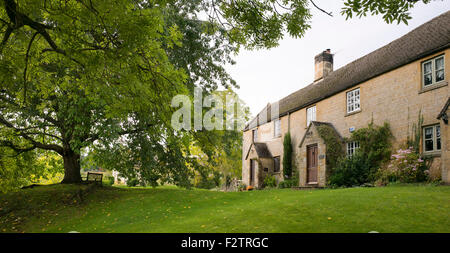 Cotswold cottages and Hornbeam tree in Broad Campden, Gloucestershire, Cotswolds, England Stock Photo