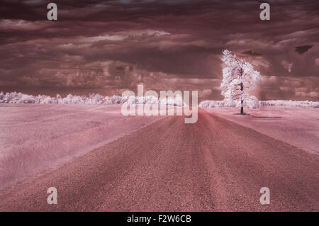 Infrared photo of a lonely road. Stock Photo