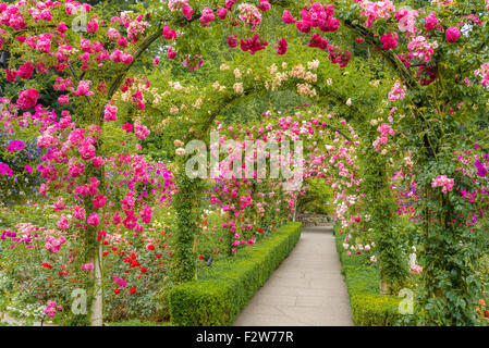 The Rose Garden, Butchart Gardens, Brentwood Bay, near Victoria, Vancouver Island, British Columbia, Canada Stock Photo