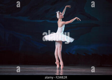 Prima ballerina white swan Stock Photo