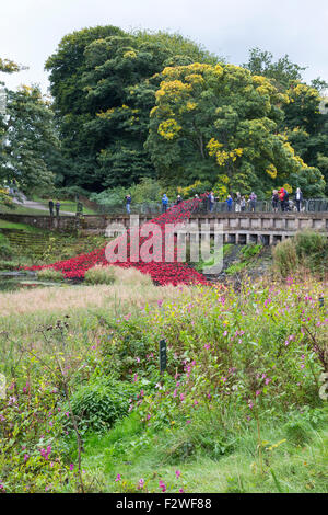 Red poppies 'Wave' exhibition of Tower of London poppies at the Yorkshire Sculpture Park. Blood Swept Lands and Seas of Red Stock Photo