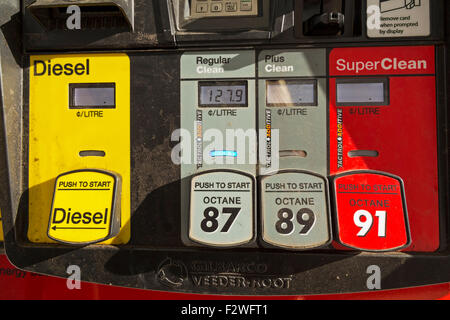 Gas station, diesel and petrol pumps, Okanagan-Similkameen, British Columbia, Canada, North America. Stock Photo