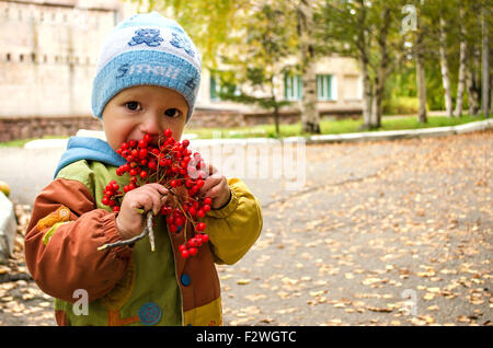 autumn berries boy eating Stock Photo