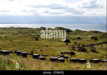 Concrete anti tank blocks on the beach at Aberlady Bay in East Lothian, Central Scotland, now a nature reserve. Stock Photo