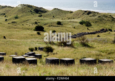 Concrete anti tank blocks on the beach at Aberlady Bay in East Lothian, Central Scotland, now a nature reserve. Stock Photo