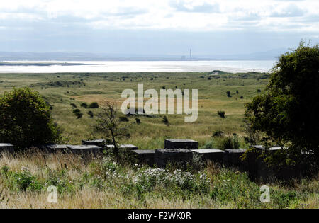 Concrete anti tank blocks on the beach at Aberlady Bay in East Lothian, Central Scotland, now a nature reserve. Stock Photo