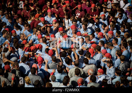 Barcelona, Spain. 24th Sep, 2015. In Barcelona castellers  prepare to build a human tower on 24 September, 2015. For the Merce Festival (Festes de la Merce) has been held the traditional Jornada Castellera (Human Towers Day) in the town hall square of Barcelona. Credit:   Jordi Boixareu/Alamy Live News Stock Photo