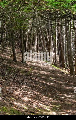 The beautiful Point Au Roche State Park in Upstate NY Stock Photo