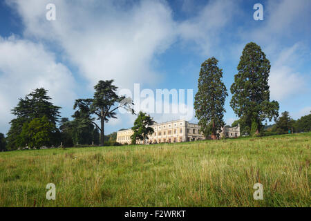 Ashton Court. Bristol. UK. Stock Photo