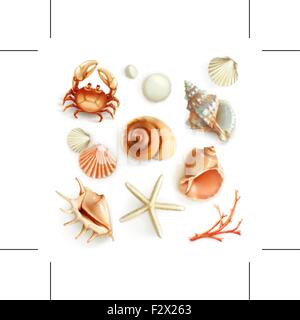 Seashells, set vector icons Stock Vector