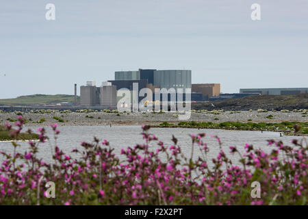 Wylfa Nuclear Power Station at Cemaes Bay on June 16, 2015, in Anglesey, North Wales. Stock Photo