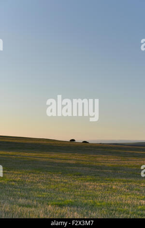 South Downs National Park in Southern England, UK Stock Photo