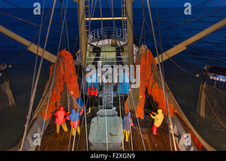 Dutch fishing vessel fishing on the North sea for sole and flounder Stock Photo