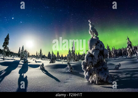 Lights of winter - auroras over Finland Stock Photo