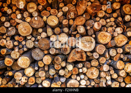 Dry chopped firewood logs ready for winter Stock Photo