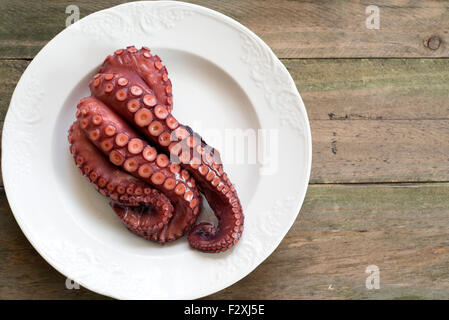 fresh tentacles of octopus on white plate Stock Photo