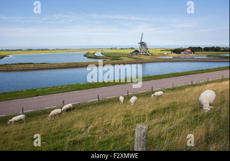 dike at the Dutch island of Texel Stock Photo