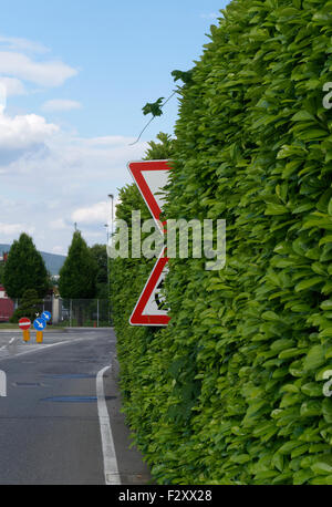 traffic signs partially covered by vegetation Stock Photo