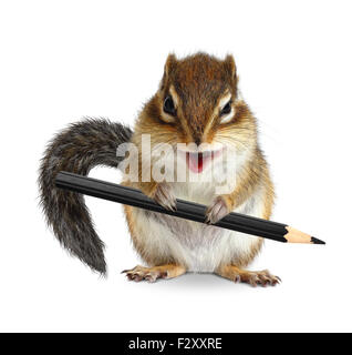 Funny chipmunk hold pencil, on white Stock Photo