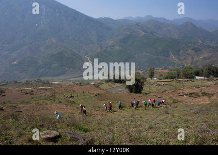 A family is cultivating land in Northern Vietnam Stock Photo