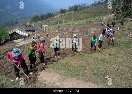 A family is cultivating land in Northern Vietnam Stock Photo