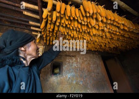 storage of maize in a house of the Hmong hill tribe Stock Photo