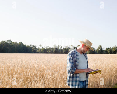 Man wearing a checkered shirt and a hat standing in a cornfield using a digital tablet. Stock Photo