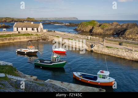 Early morning over the tiny harbor at Ballintoy, County Antrim, Northern Ireland, UK Stock Photo