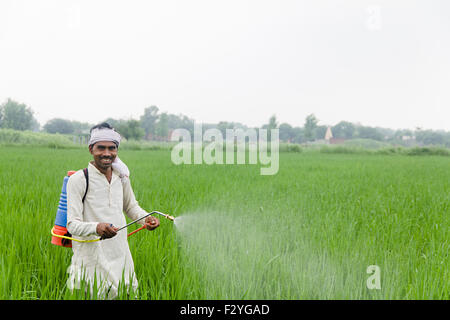 1 indian rural farmer Farm Plants  Spraying Stock Photo