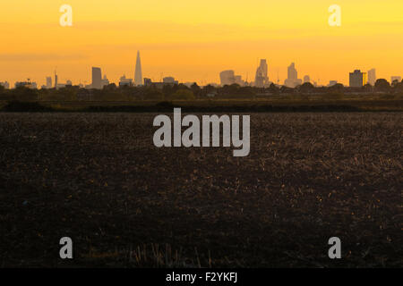 London, UK. 25th Sep, 2015. London's skyline captured from Hainult in Essex as the sun sets. Credit:  Paul Davey/Alamy Live News