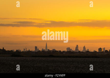 London, UK. 25th Sep, 2015. London's skyline captured from Hainult in Essex as the sun sets. Credit:  Paul Davey/Alamy Live News