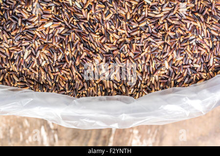 raw rice in plastic bag Stock Photo