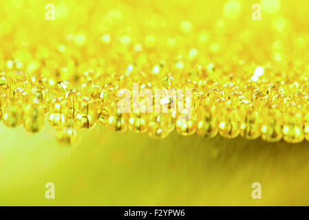Yellow - green shine abstract background for your design Stock Photo