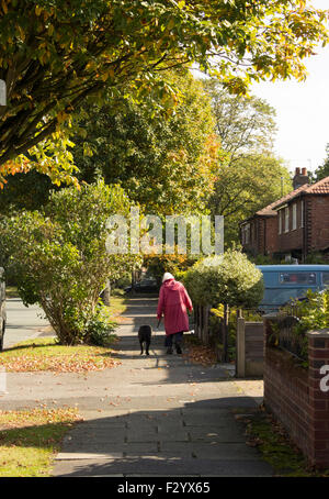 Old woman in red coat walking her black dog down a gray pavement with green trees on each side. Stock Photo