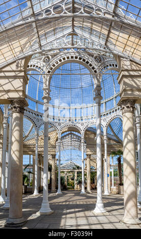 Interior of The Great Conservatory in the gardens of Syon House, Syon Park, West London, England, UK Stock Photo