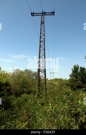 Old and Rusty Electric Poles Abandoned in Nature in Eastern Europe Stock Photo