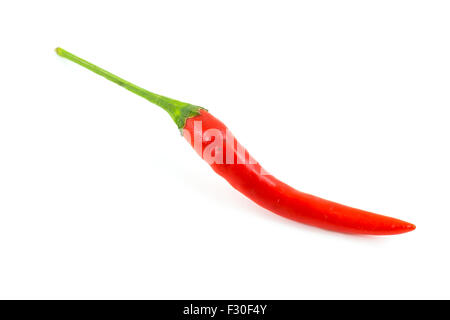Red chili on white background Stock Photo