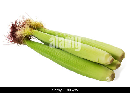 Baby corns isolated on white background and clipping path Stock Photo