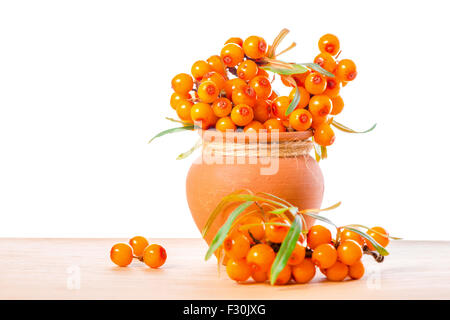 heap of sea buckthorn berries twigs in vintage ceramic pot is isolated on white background Stock Photo