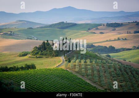 Tuscany, early morning in Val d'Orcia Stock Photo