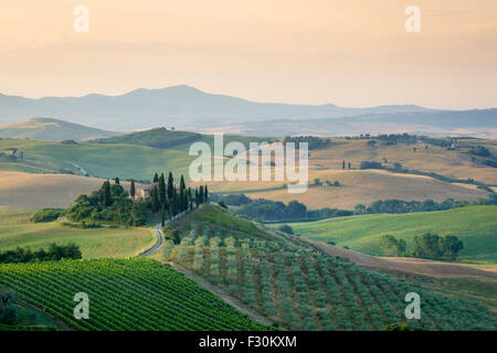 Tuscany, early morning in Val d'Orcia Stock Photo