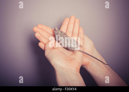 A dead mouse is resting on a young woman's hand Stock Photo