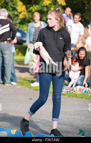 Soham, Cambrideshire, UK . 26th Sep, 2015. Ferret racing at Soham pumpkin fair 2015 Credit:  Jason Marsh/Alamy Live News Stock Photo