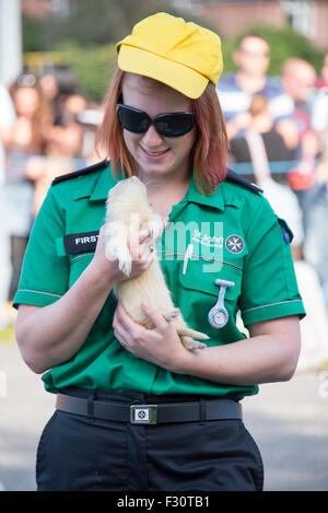 Soham, Cambrideshire, UK . 26th Sep, 2015. St Johns ambulance lady holding ferret for racing at Soham Pumpkin fair 2015 Credit:  Jason Marsh/Alamy Live News Stock Photo