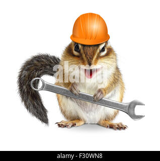 Funny handyman chipmunk worker with helmet and wrench isolated on white background Stock Photo