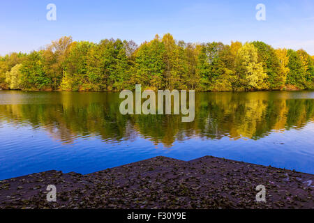 View from Wooden Pier with Fallen Brown Leaves on Colourful Trees Reflected in Calm Lake in Autumn Stock Photo